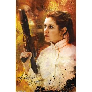 imageTrends International Star Wars Saga  Princess Leia  Signature Wall Poster 22375quot x 34quot Premium Unframed Version