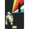 imageTrends International Star Wars Saga  R2D2 Projection Wall Poster 22375quot x 34quot Unframed Version