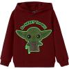 imageDisney Marvel Spiderman Star Wars Toy Story Boy Girl Hoodies Pullover Sweatshirts Lightweight Zip Up Hooded Toddler Kid 212YStar Wars Yodared
