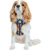 imageSassy Woof Dog Adjustable Harness  Star Wars Ahsoka  S Breathable Mesh No Pull Design with Two DRings Perfect for Small Dogs and Puppies  Officially LicensedSmall