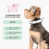 imageSassy Woof Dog Adjustable Harness  Star Wars Ahsoka  S Breathable Mesh No Pull Design with Two DRings Perfect for Small Dogs and Puppies  Officially LicensedMedium