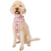 imageSassy Woof Dog Adjustable Harness  Star Wars Princess Leia  M Breathable Mesh No Pull Design with Two DRings Perfect for Medium Dogs  Officially LicensedLarge