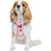 imageSassy Woof Dog Adjustable Harness  Star Wars Princess Leia  M Breathable Mesh No Pull Design with Two DRings Perfect for Medium Dogs  Officially LicensedSmall