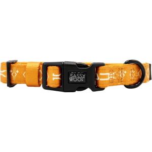 imageSassy Woof Dog Adjustable Harness  Star Wars Ahsoka  S Breathable Mesh No Pull Design with Two DRings Perfect for Small Dogs and Puppies  Officially LicensedMedium