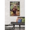 imageTrends International Star Wars Return of the Jedi  Wicket W Warrick Wall Poster 34L x 224W Premium Unframed VersionBarnwood Framed Version