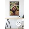 imageTrends International Star Wars Return of the Jedi  Wicket W Warrick Wall Poster 34L x 224W Premium Unframed VersionBarnwood Framed Version