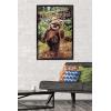 imageTrends International Star Wars Return of the Jedi  Wicket W Warrick Wall Poster 34L x 224W Premium Unframed VersionBlack Framed Version