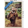 imageTrends International Star Wars Return of the Jedi  Wicket W Warrick Wall Poster 34L x 224W Premium Unframed VersionBlonde Framed Version