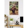 imageTrends International Star Wars Return of the Jedi  Wicket W Warrick Wall Poster 34L x 224W Premium Unframed VersionBlonde Framed Version
