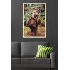 imageTrends International Star Wars Return of the Jedi  Wicket W Warrick Wall Poster 34L x 224W Premium Unframed VersionBlonde Framed Version
