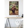 imageTrends International Star Wars Return of the Jedi  Wicket W Warrick Wall Poster 34L x 224W Premium Unframed VersionBronze Framed Version