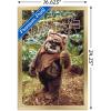 imageTrends International Star Wars Return of the Jedi  Wicket W Warrick Wall Poster 34L x 224W Premium Unframed VersionGold Framed Version