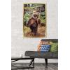 imageTrends International Star Wars Return of the Jedi  Wicket W Warrick Wall Poster 34L x 224W Premium Unframed VersionGold Framed Version