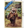 imageTrends International Star Wars Return of the Jedi  Wicket W Warrick Wall Poster 34L x 224W Premium Unframed VersionGold Framed Version