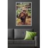 imageTrends International Star Wars Return of the Jedi  Wicket W Warrick Wall Poster 34L x 224W Premium Unframed VersionGray Framed Version