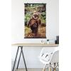 imageTrends International Star Wars Return of the Jedi  Wicket W Warrick Wall Poster 34L x 224W Premium Unframed VersionPremium Poster  Clip Bundle