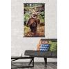imageTrends International Star Wars Return of the Jedi  Wicket W Warrick Wall Poster 34L x 224W Premium Unframed VersionPremium Poster  Clip Bundle