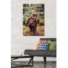 imageTrends International Star Wars Return of the Jedi  Wicket W Warrick Wall Poster 34L x 224W Premium Unframed VersionPremium Poster  Mount Bundle