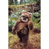 imageTrends International Star Wars Return of the Jedi  Wicket W Warrick Wall Poster 34L x 224W Premium Unframed VersionPremium Unframed Version