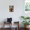 imageTrends International Star Wars Return of the Jedi  Wicket W Warrick Wall Poster 34L x 224W Premium Unframed VersionPremium Unframed Version