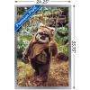 imageTrends International Star Wars Return of the Jedi  Wicket W Warrick Wall Poster 34L x 224W Premium Unframed VersionSilver Framed Version