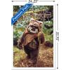 imageTrends International Star Wars Return of the Jedi  Wicket W Warrick Wall Poster 34L x 224W Premium Unframed VersionWhite Framed Version