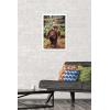 imageTrends International Star Wars Return of the Jedi  Wicket W Warrick Wall Poster 34L x 224W Premium Unframed VersionWhite Framed Version