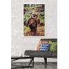 imageTrends International Star Wars Return of the Jedi  Wicket W Warrick Wall Poster 34L x 224W Premium Unframed VersionWhite Framed Version