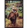 imageTrends International Star Wars Return of the Jedi  Wicket W Warrick Wall Poster 34L x 224W Premium Unframed VersionBlack Framed Version