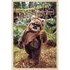 imageTrends International Star Wars Return of the Jedi  Wicket W Warrick Wall Poster 34L x 224W Premium Unframed VersionBlonde Framed Version