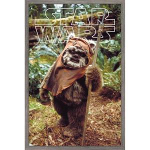 imageTrends International Star Wars Return of the Jedi  Wicket W Warrick Wall Poster 34L x 224W Premium Unframed VersionBarnwood Framed Version