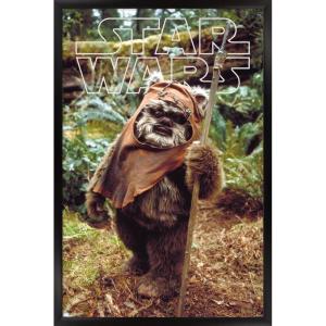 imageTrends International Star Wars Return of the Jedi  Wicket W Warrick Wall Poster 34L x 224W Premium Unframed VersionBlack Framed Version