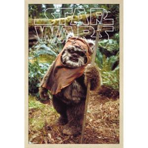 imageTrends International Star Wars Return of the Jedi  Wicket W Warrick Wall Poster 34L x 224W Premium Unframed VersionBlonde Framed Version