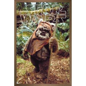 imageTrends International Star Wars Return of the Jedi  Wicket W Warrick Wall Poster 34L x 224W Premium Unframed VersionBronze Framed Version