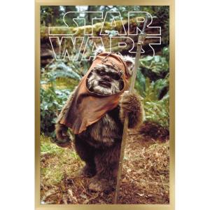 imageTrends International Star Wars Return of the Jedi  Wicket W Warrick Wall Poster 34L x 224W Premium Unframed VersionGold Framed Version