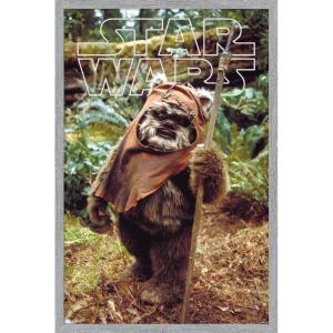 imageTrends International Star Wars Return of the Jedi  Wicket W Warrick Wall Poster 34L x 224W Premium Unframed VersionGray Framed Version