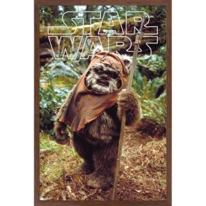 imageTrends International Star Wars Return of the Jedi  Wicket W Warrick Wall Poster 34L x 224W Premium Unframed VersionMahogany Framed Version