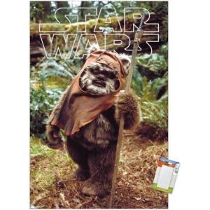 imageTrends International Star Wars Return of the Jedi  Wicket W Warrick Wall Poster 34L x 224W Premium Unframed VersionPremium Poster  Mount Bundle