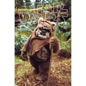 imageTrends International Star Wars Return of the Jedi  Wicket W Warrick Wall Poster 34L x 224W Premium Unframed VersionPremium Unframed Version