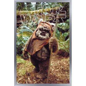 imageTrends International Star Wars Return of the Jedi  Wicket W Warrick Wall Poster 34L x 224W Premium Unframed VersionSilver Framed Version