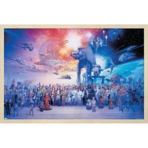 imageTrends International Star Wars Saga  Galaxy Wall Poster 34L x 224W Premium Unframed VersionBlonde Framed Version