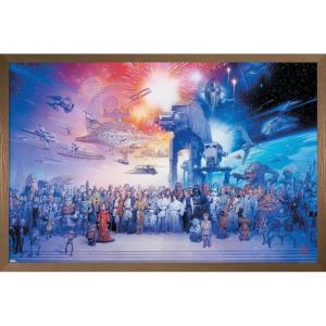 imageTrends International Star Wars Saga  Galaxy Wall Poster 34L x 224W Premium Unframed VersionBronze Framed Version