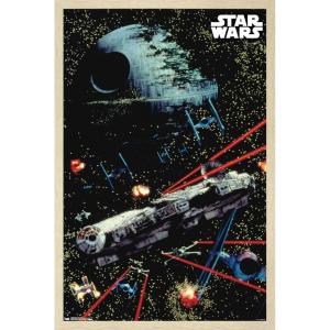 imageTrends International Star Wars Saga  Space Battle Wall Poster 22375quot x 34quot Premium Unframed VersionBlonde Framed Version