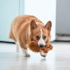 imageSTAR WARS Plush Chewbacca Figure Dog Toy  Soft Squeaky Dog Toy  MediumChewbacca Flattie