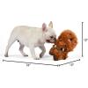 imageSTAR WARS Plush Chewbacca Figure Dog Toy  Soft Squeaky Dog Toy  MediumChewbacca Plush