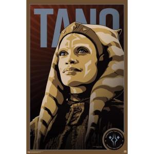 imageStar Wars The Mandalorian  Ahsoka Tano by Russell Walks Wall Poster 19Lquot x 13Wquot Premium Unframed VersionPremium Unframed Version