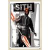 image:imageTrends International Star Wars The Phantom Menace  Darth Maul Glitch Wall Poster 34L x 224W Premium Unframed VersionBlonde Framed Version
