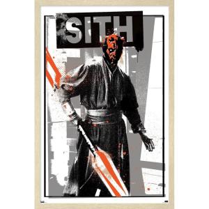 image:imageTrends International Star Wars The Phantom Menace  Darth Maul Glitch Wall Poster 34L x 224W Premium Unframed VersionBlonde Framed Version
