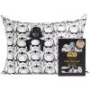 Darth Vader Stormtroopers