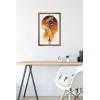 image:imageTrends International Star Wars The Book of Boba Fett  Boba and Firespray Wall Poster 22375 x 34 Premium Unframed VersionBronze Framed Version